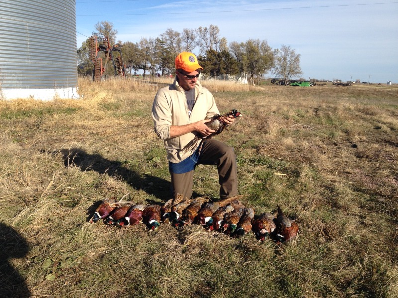2013-11-08-SD-Pheasant-Hunting-36-Daryl.JPG
