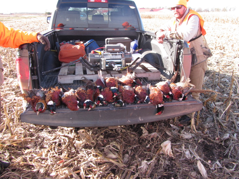 2013/11(November)/SD-Hunting/800x600_2013-11-08-SD-Pheasant-Hunting-40-John.JPG