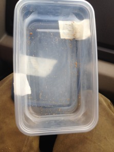 2013-11-05-SD-Pheasant-Hunting-1-empty-cookie-tub.JPG