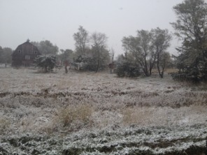 2013-11-05-SD-Pheasant-Hunting-2.JPG