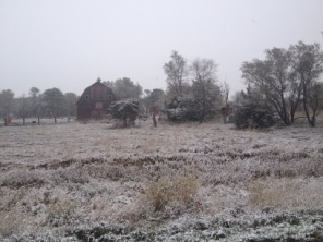 2013-11-05-SD-Pheasant-Hunting-3.JPG