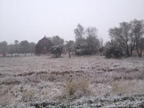 2013-11-05-SD-Pheasant-Hunting-4.JPG