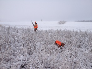 2013-11-06-SD-Pheasant-Hunting-14-Daryl-Bevo.JPG