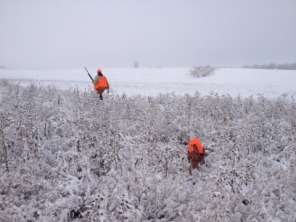 2013-11-06-SD-Pheasant-Hunting-15-Daryl-Bevo.JPG