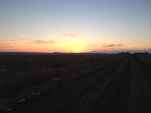 2013-11-06-SD-Pheasant-Hunting-25-sunset.JPG