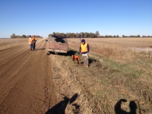 2013-11-07-SD-Pheasant-Hunting-09-Daryl-Mike-Bevo-Tim.JPG