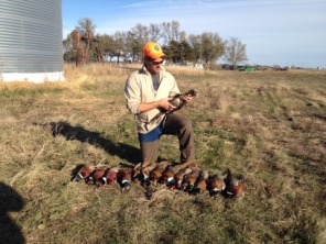 2013-11-08-SD-Pheasant-Hunting-36-Daryl.JPG
