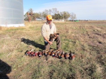 2013-11-08-SD-Pheasant-Hunting-47-Daryl.JPG