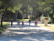 IMG_1097.JPG
