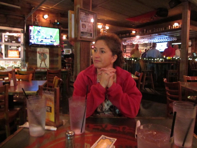 2013/12(December)/Trail-of-Lights/640x480_2013-12-20-Trail-of-Lights-03-Suzi.JPG