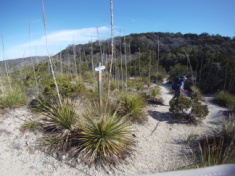 2014-02-15-Hill-Country-State-Natural-Area-10.JPG