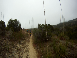 2014-02-15-Hill-Country-State-Natural-Area-Video-4-hiking.png