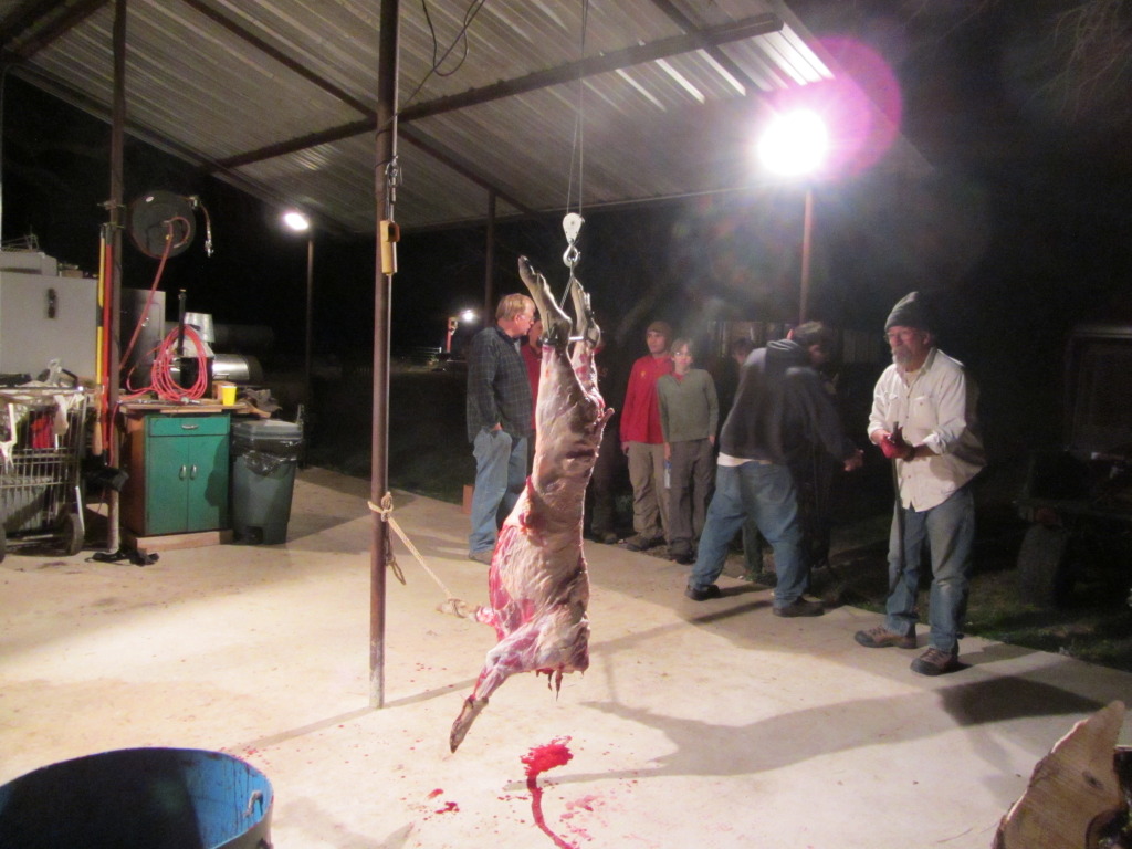 2014-02-21-Troop214-990-Bluestem-4-cleaning-wild-boar-Anthony-Tyler.JPG