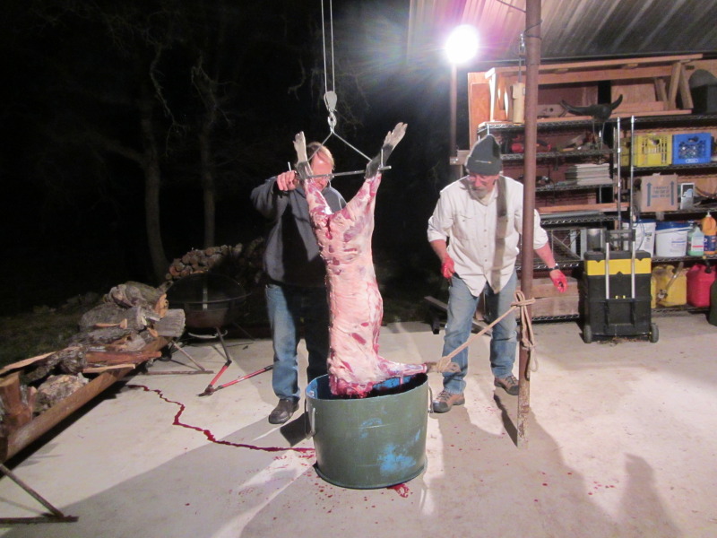 2014/02(February)/Troop214-and-Troop990-Wild-West-Bluestem-Camping/800x600_2014-02-21-Troop214-990-Bluestem-3-cleaning-wild-boar.JPG