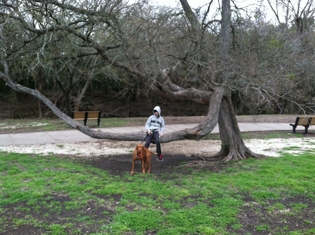 2014/03(March)/Dax-Suzi-at-park/1024x768_2014-03-09-Suzi-Dax-at-park-02-Bevo.JPG