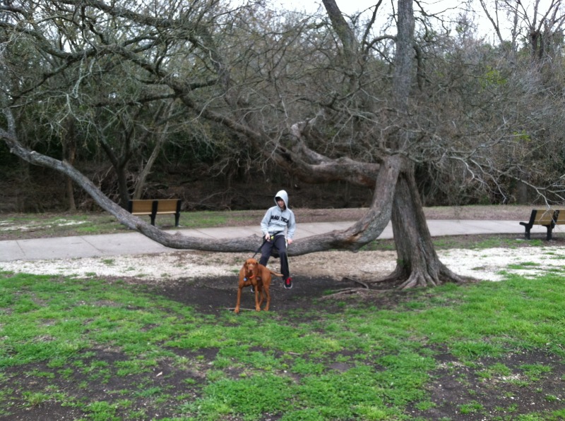 2014/03(March)/Dax-Suzi-at-park/800x600_2014-03-09-Suzi-Dax-at-park-02-Bevo.JPG