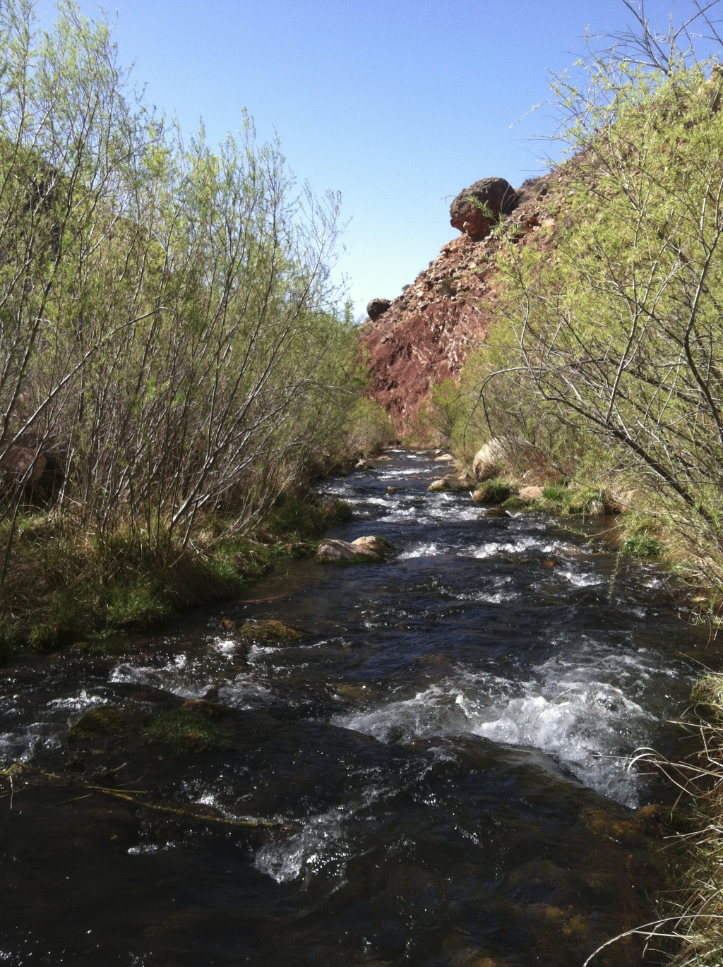 2014/03(March)/Grand-Canyon/1024x768_IMG_0352-2.jpg