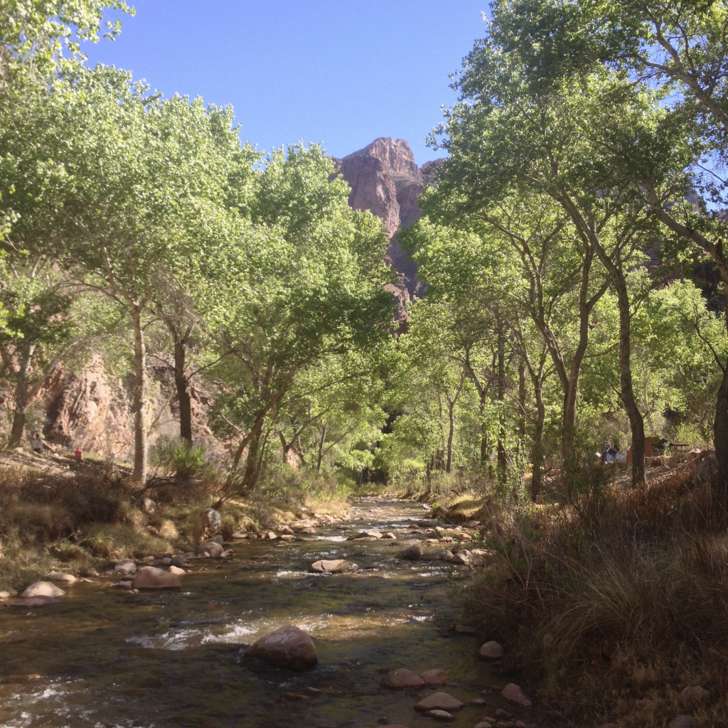 2014/03(March)/Grand-Canyon/1024x768_IMG_0404.jpg