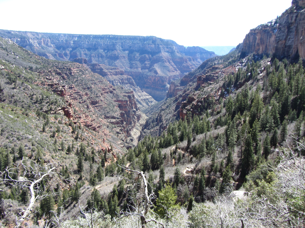 2014/03(March)/Grand-Canyon/1024x768_IMG_1868.jpg