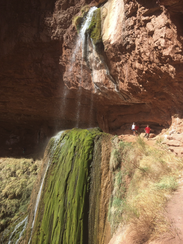 2014/03(March)/Grand-Canyon/640x480_IMG_0130.jpg