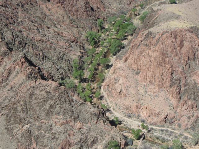 2014/03(March)/Grand-Canyon/640x480_IMG_1726.jpg