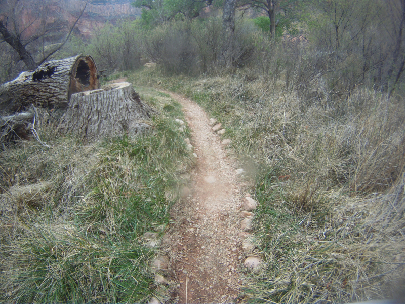 2014/03(March)/Grand-Canyon/800x600_GOPR4843.jpg