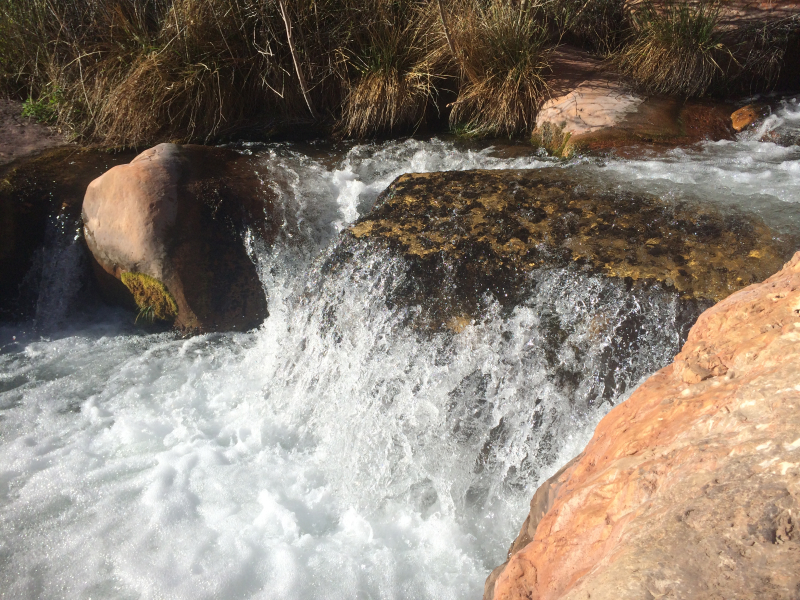 2014/03(March)/Grand-Canyon/800x600_IMG_0143.jpg