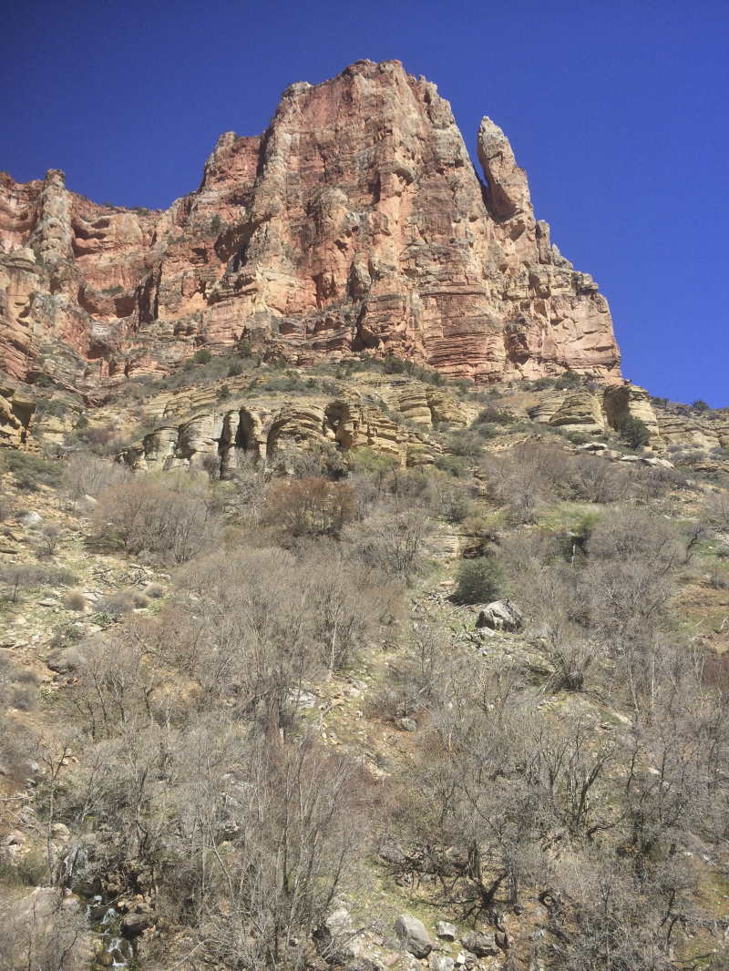 2014/03(March)/Grand-Canyon/800x600_IMG_0258-2.jpg