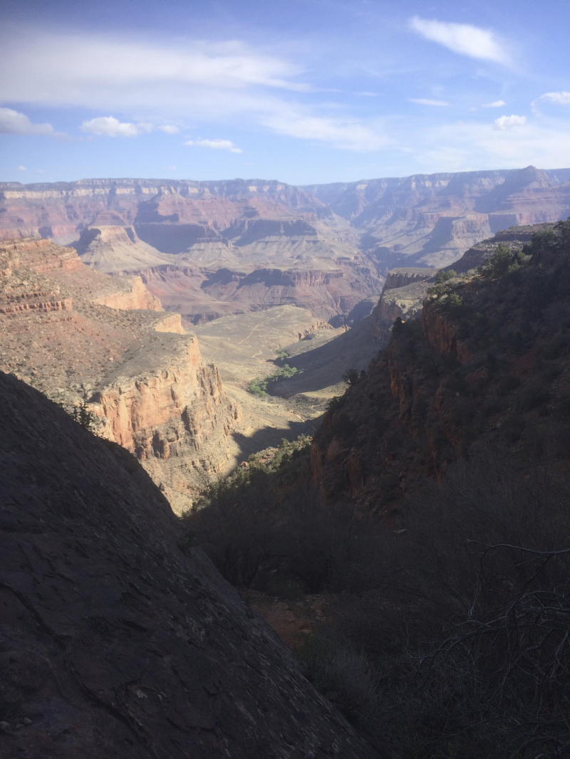 2014/03(March)/Grand-Canyon/800x600_IMG_0324.jpg