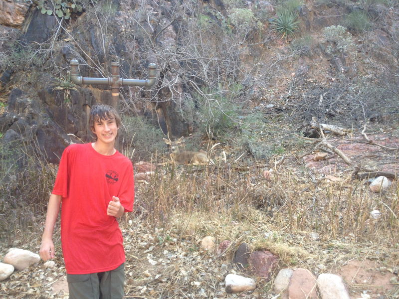 2014/03(March)/Grand-Canyon/800x600_IMG_0406.jpg