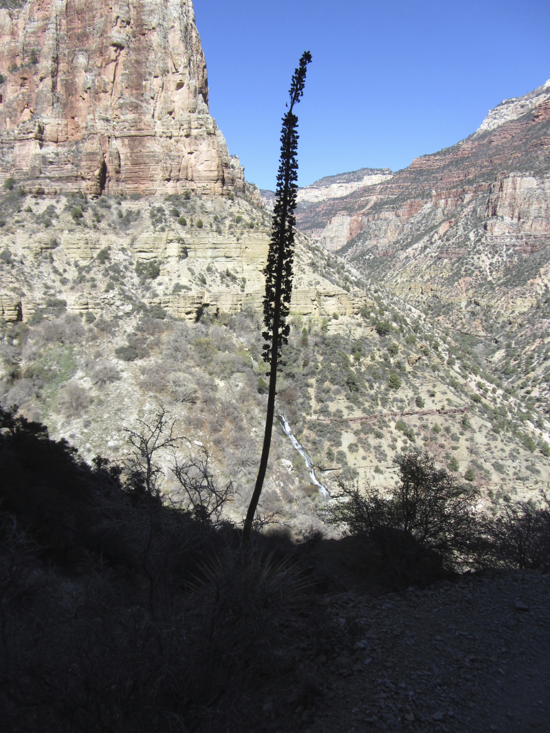 2014/03(March)/Grand-Canyon/800x600_IMG_1890.jpg