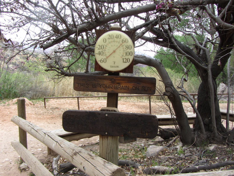 2014/03(March)/Grand-Canyon/800x600_IMG_1976.jpg