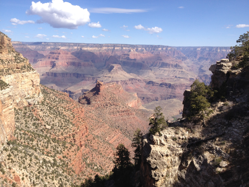2014/03(March)/Grand-Canyon/800x600_IMG_2334.jpg