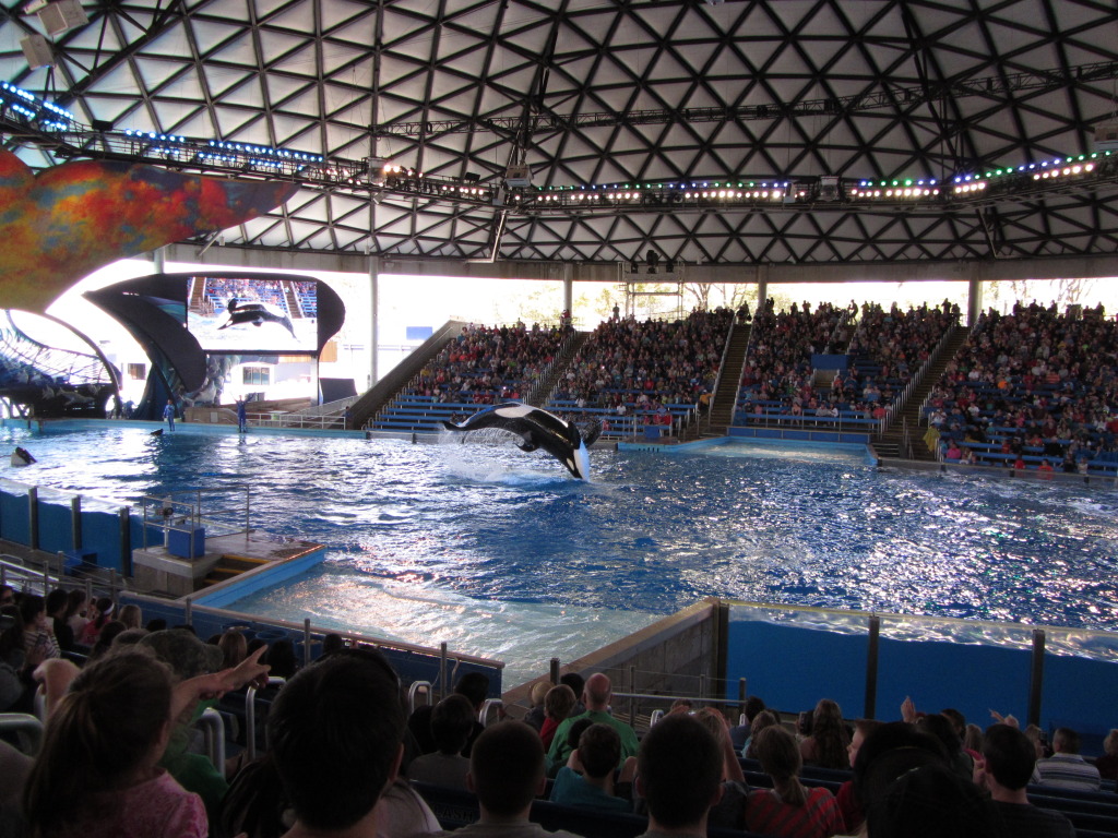 2014/03(March)/SeaWorld-with-Maru-from-Argentina/1024x768_2014-03-20-SeaWorld-Maru-12.JPG