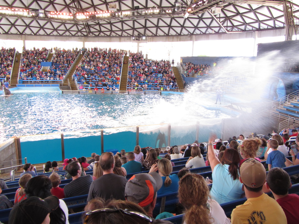 2014/03(March)/SeaWorld-with-Maru-from-Argentina/1024x768_2014-03-20-SeaWorld-Maru-19.JPG
