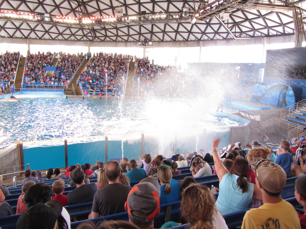 2014/03(March)/SeaWorld-with-Maru-from-Argentina/1024x768_2014-03-20-SeaWorld-Maru-20.JPG