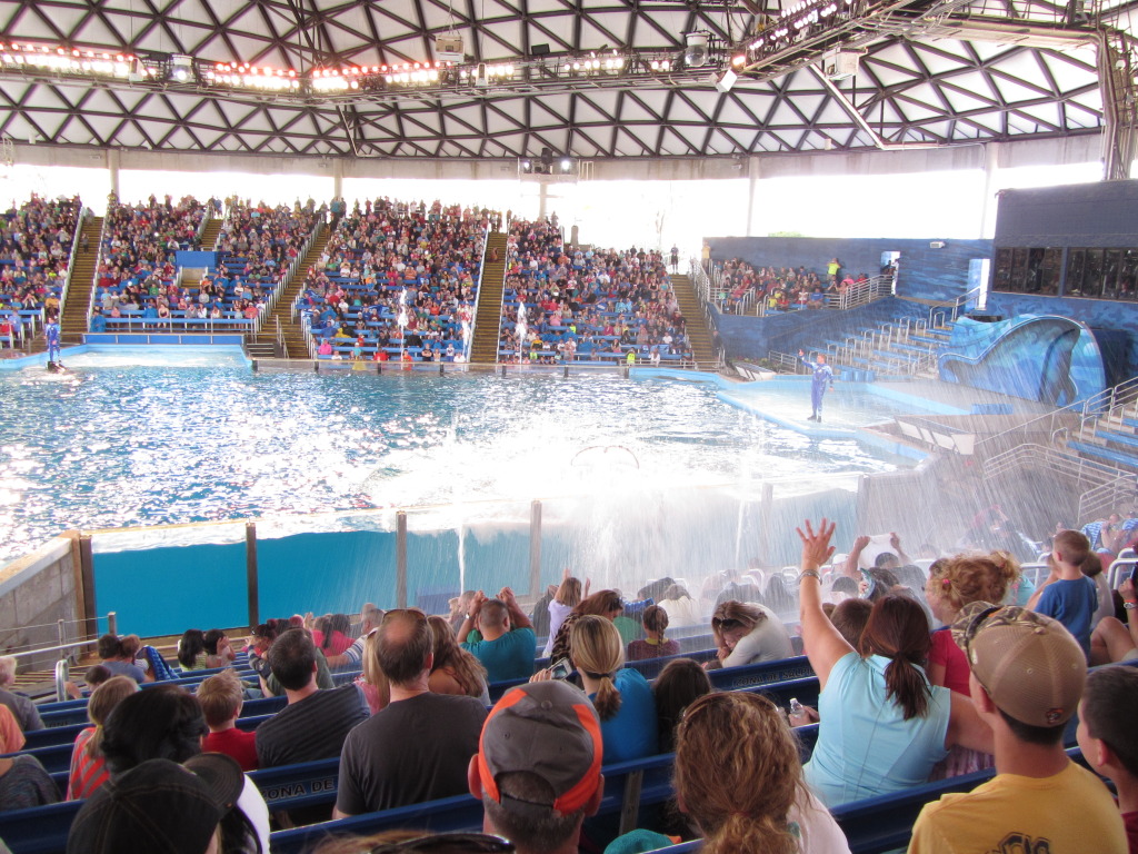 2014/03(March)/SeaWorld-with-Maru-from-Argentina/1024x768_2014-03-20-SeaWorld-Maru-21.JPG