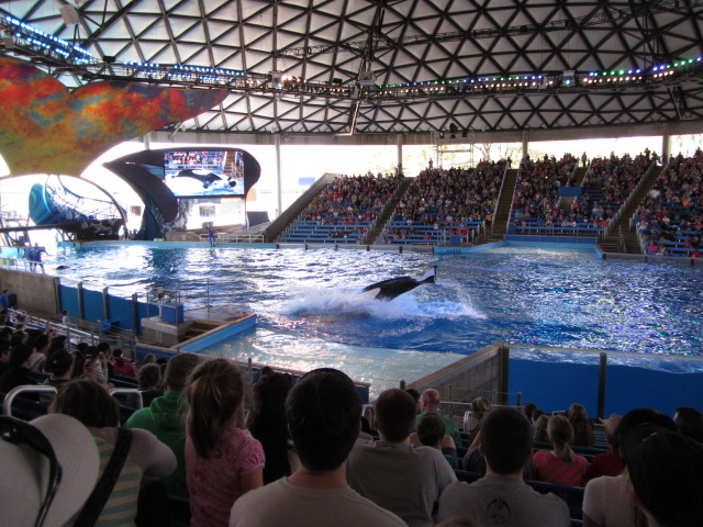 2014/03(March)/SeaWorld-with-Maru-from-Argentina/640x480_2014-03-20-SeaWorld-Maru-11.JPG