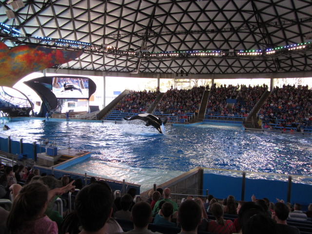 2014/03(March)/SeaWorld-with-Maru-from-Argentina/640x480_2014-03-20-SeaWorld-Maru-12.JPG