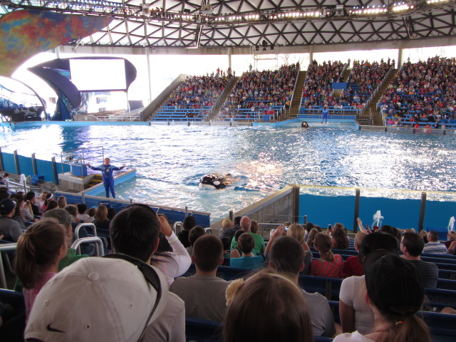 2014/03(March)/SeaWorld-with-Maru-from-Argentina/640x480_2014-03-20-SeaWorld-Maru-13.JPG