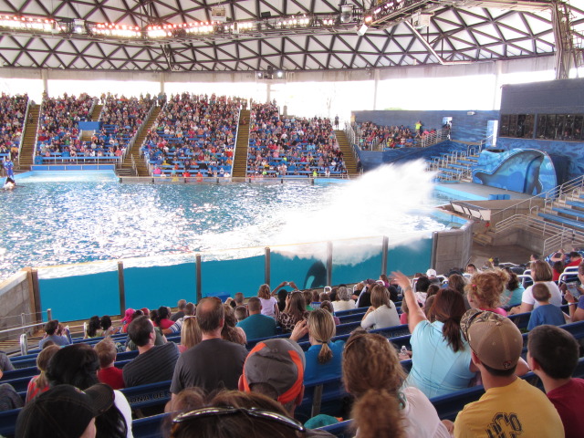 2014/03(March)/SeaWorld-with-Maru-from-Argentina/640x480_2014-03-20-SeaWorld-Maru-18.JPG