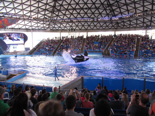 2014/03(March)/SeaWorld-with-Maru-from-Argentina/640x480_2014-03-20-SeaWorld-Maru-23.JPG