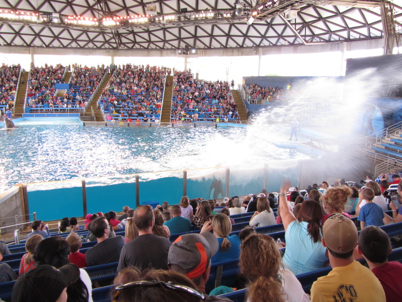 2014/03(March)/SeaWorld-with-Maru-from-Argentina/800x600_2014-03-20-SeaWorld-Maru-19.JPG