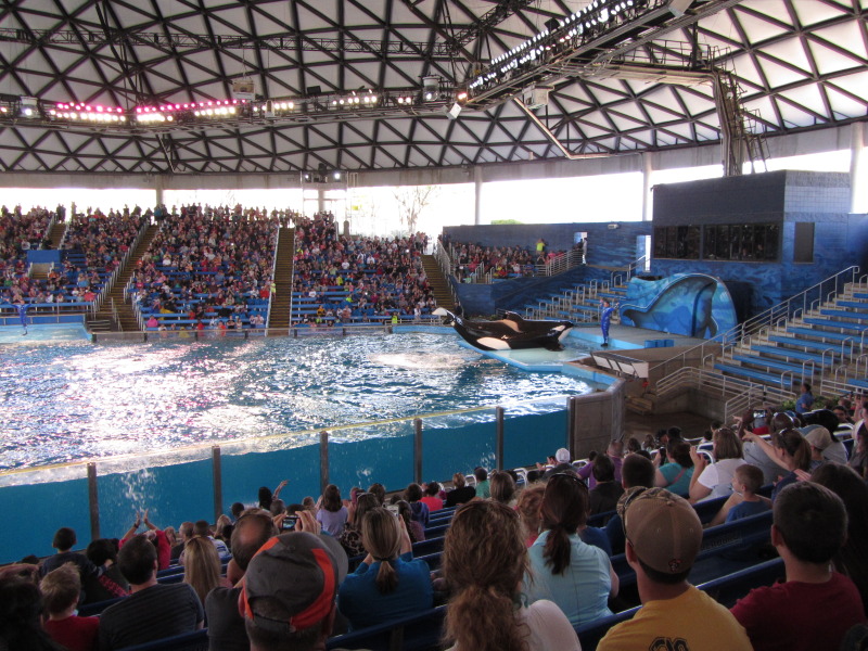 2014/03(March)/SeaWorld-with-Maru-from-Argentina/800x600_2014-03-20-SeaWorld-Maru-24.JPG