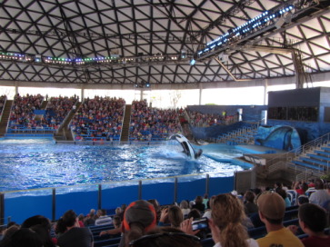 2014-03-20-SeaWorld-Maru-10.JPG