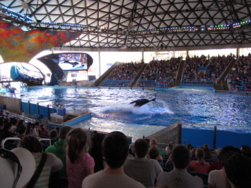 2014-03-20-SeaWorld-Maru-11.JPG