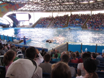 2014-03-20-SeaWorld-Maru-13.JPG