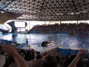 2014-03-20-SeaWorld-Maru-14.JPG