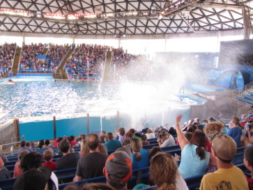 2014-03-20-SeaWorld-Maru-20.JPG