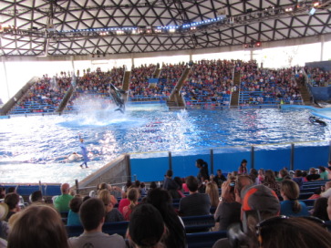 2014-03-20-SeaWorld-Maru-22.JPG
